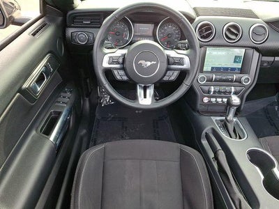 2021 Ford Mustang EcoBoost