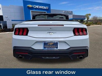 2025 Ford Mustang EcoBoost