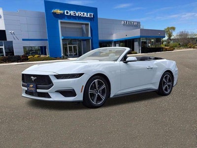 2025 Ford Mustang EcoBoost